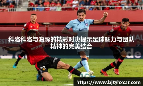 科洛科洛与海豚的精彩对决揭示足球魅力与团队精神的完美结合